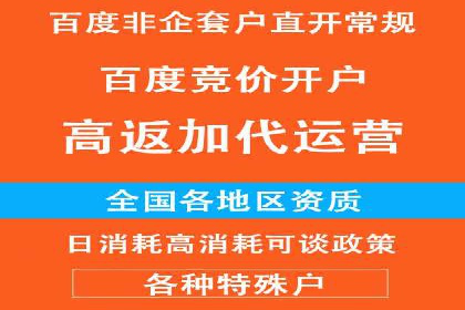 竞价推广公司案例分析：精准投放策略助力企业业绩翻倍